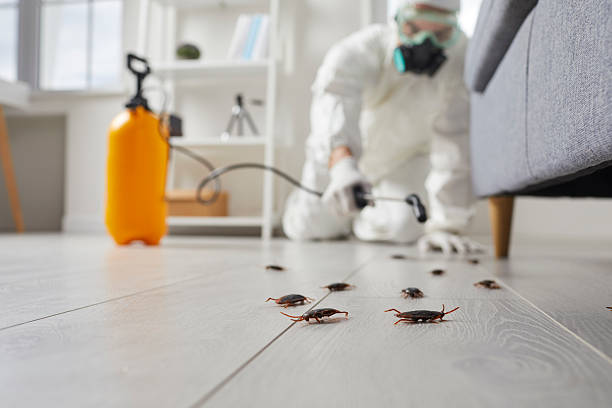 Commercial Kitchen Cockroach Control in Bethel Manor
